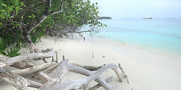 Malediven Schmal Quer Eecbefa